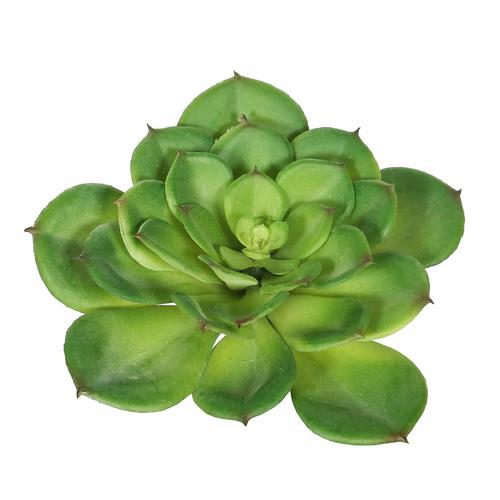 Vickerman FA170701 Green Single Cactus Succulent 
