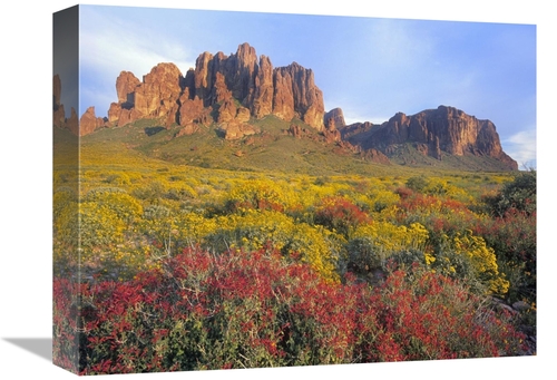 Global Gallery GCS-396483-1216-142 12 x 16 in. Chuparosa & Brittlebush
