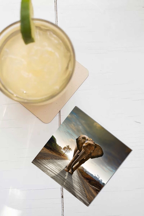 NEW Set of 4 Printed Glass Coasters - Elephant in Nature