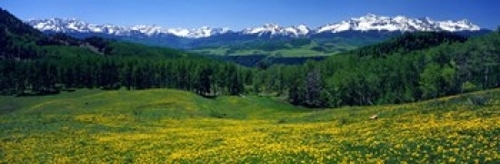 San Miguel Mountains In Spring  Colorado  USA Poster Print by  - 36 x 