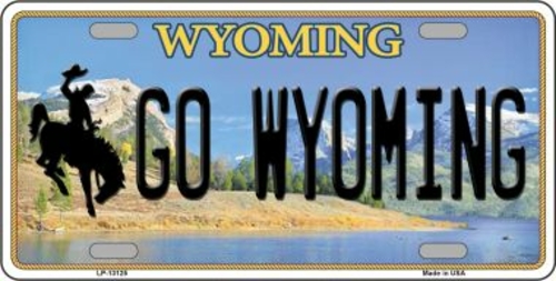 Smart Blonde LP-13125 6 x 12 in. Go Wyoming Novelty Metal License Plat