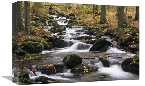 Global Gallery GCS-452406-1218-142 12 x 18 in. Creek Cascading Through