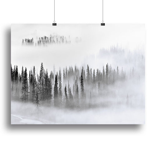 Foggy Forest Canvas Print or Poster