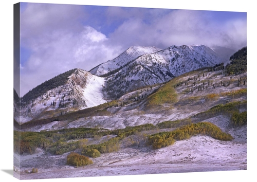 Global Gallery GCS-396172-2432-142 24 x 32 in. Elk Mountains with Snow