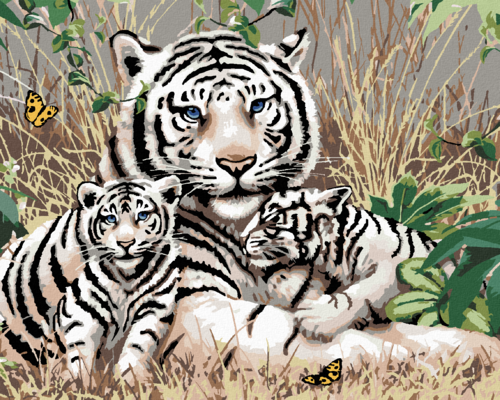 Paint by Numbers - WHITE TIGER AND CUBS IN THE GRASS (HOWARD ROBINSON)