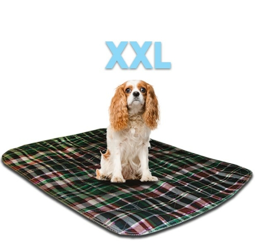 Lennypads 3636LPG 36 x 36 in. 2XL Washable Pet Pad - Green Plaid