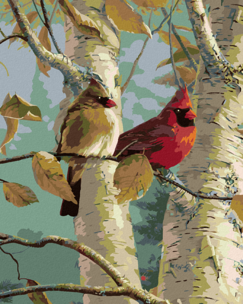 Zuty - Paint by Numbers â€“ CARDINAL BIRD AND A BIRCH TREE (JAMES