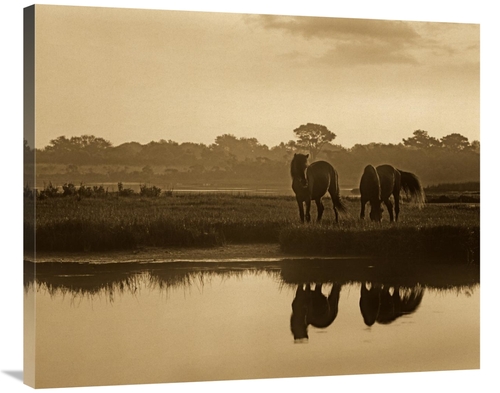 Global Gallery GCS-395923-36-142 36 in. Wild Horse Pair Grazing at Ass