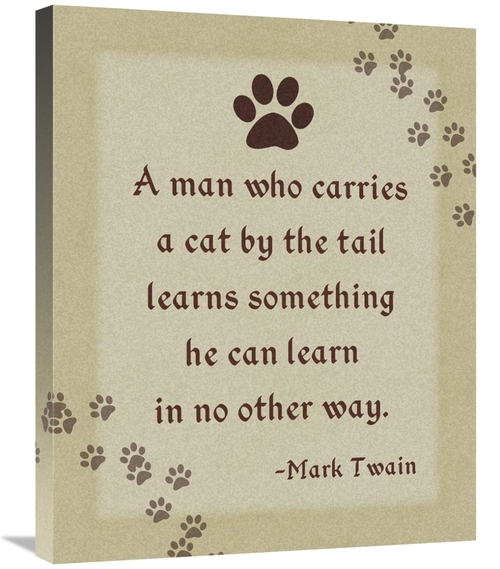 Global Gallery GCS-398809-2228-142 22 x 28 in. Mark Twain - Cat by the