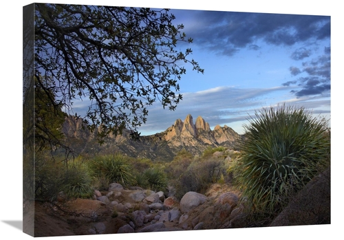 Global Gallery GCS-396177-1824-142 18 x 24 in. Organ Mountains Near La
