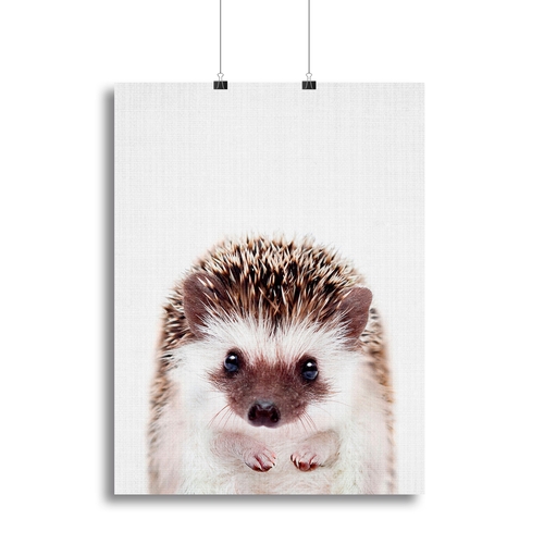 Peekaboo Hedgehog Canvas Print or Poster