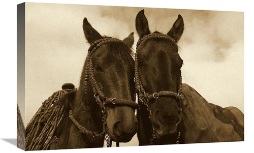 Global Gallery GCS-453719-1624-142 16 x 24 in. Horses Pair Belonging t
