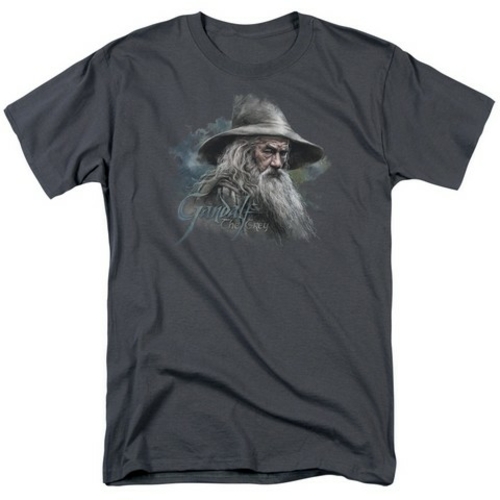 Trevco The Hobbit-Gandalf The Grey Short Sleeve Adult 18-1 Tee- Charco