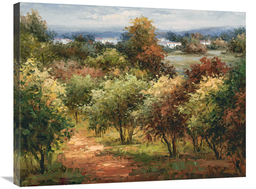 Global Gallery GCS-132573-2432-142 24 x 32 in. Sun Dappled Country Roa