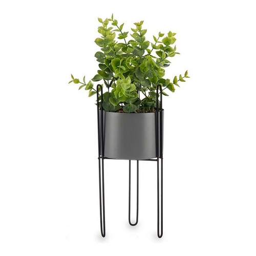 Decorative Plant Grey Eucalyptus With support Metal Plastic (13 x 40 x
