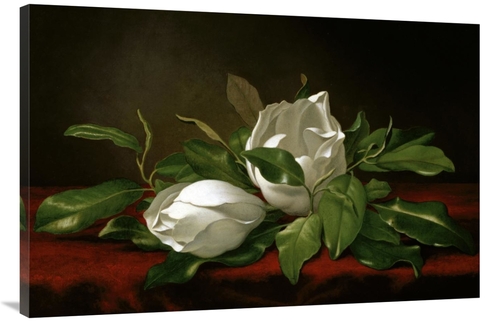 Global Gallery GCS-282179-44-142 44 in. Magnolia Art Print - Martin Jo