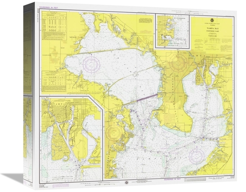 Global Gallery GCS-450518-16-142 16 in. Nautical Chart - Tampa Bay - N