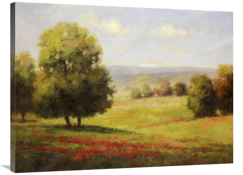 Global Gallery GCS-130631-3040-142 30 x 40 in. Red Meadow II Art Print