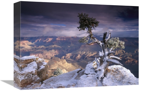 Global Gallery GCS-397177-1216-142 12 x 16 in. South Rim of Grand Cany