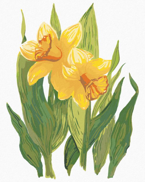 Paint by Numbers - YELLOW DAFFODILS (ALEXANDRIA GILBERT)