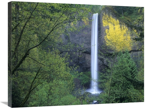 Global Gallery GCS-396520-2432-142 24 x 32 in. Latourell Falls, Co