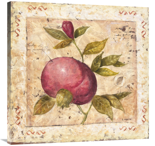 Global Gallery GCS-112916-3636-142 36 x 36 in. A Pomegranate Page Art 