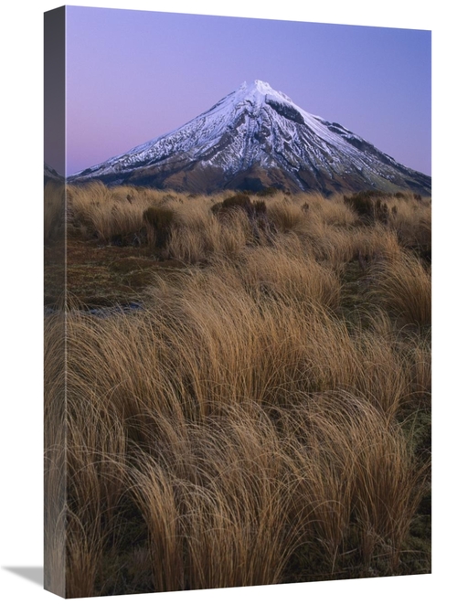 Global Gallery GCS-453502-1624-142 16 x 24 in. Mount Taranaki At Dusk&