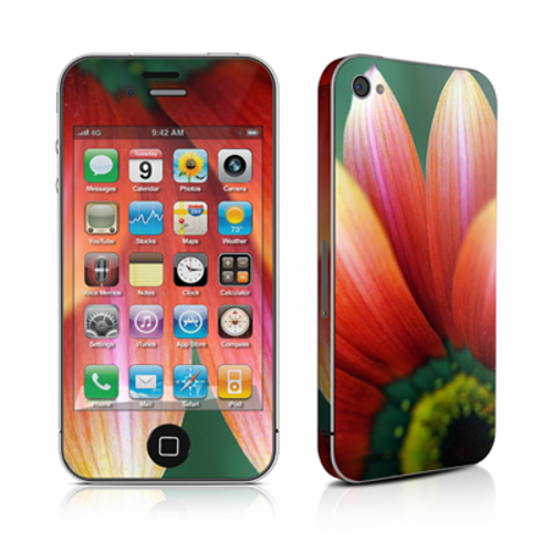 DecalGirl AIP4-SGERBERA iPhone 4 Skin - Scarlet Gerbera