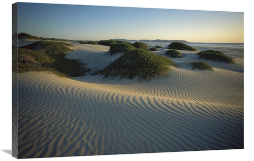 Global Gallery GCS-451703-2436-142 24 x 36 in. Sand Dunes Stabilized b