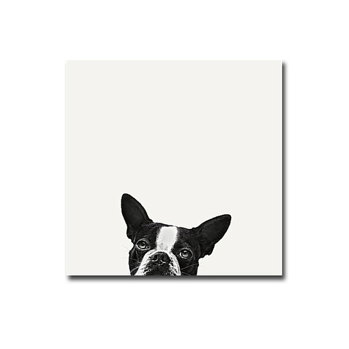 Artistic Home Gallery 1616W356IG Loyalty by Jon Bertoli Premium Galler