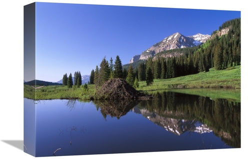 Global Gallery GCS-396594-1216-142 12 x 16 in. Gothic Mountain & Beave