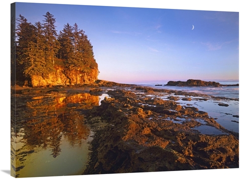 Global Gallery  30 x 40 in. Tidepools Exposed at Low Tide, Botanic