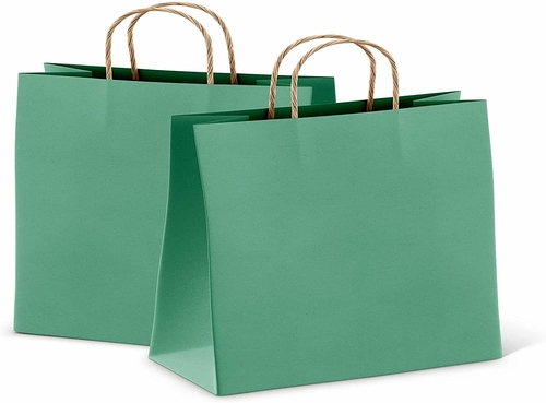 Teal Shopping Bags Bulk Pack of 25 Large Paper Bags 16 x 6 x 12 Kraft