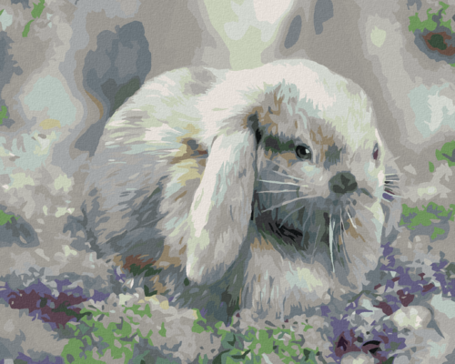 Zuty - Paint by Numbers – RABBIT IN LILAC (CAROL CAVALARIS), 40x50