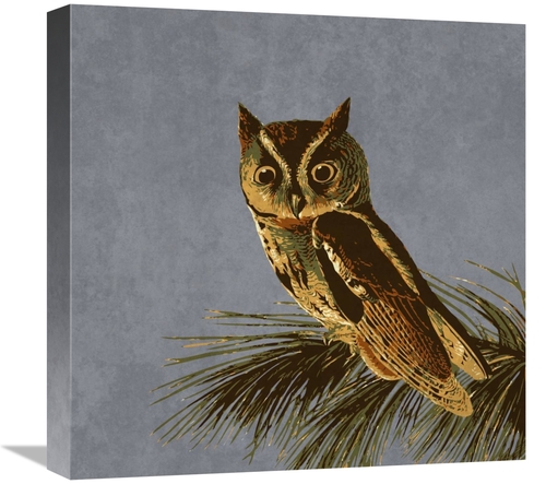 Global Gallery GCS-394162-1818-142 18 x 18 in. Audubon Decor - Little 