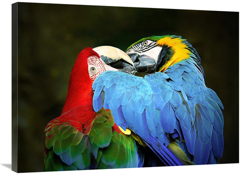 Global Gallery GCS-486626-36-142 36 in. Sweethearts Art Print - Vic Sc