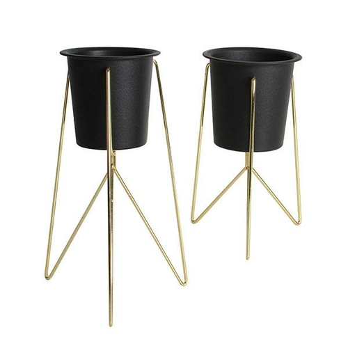 Celo Metal Plant Stand In Colbox Gold Set Of 2