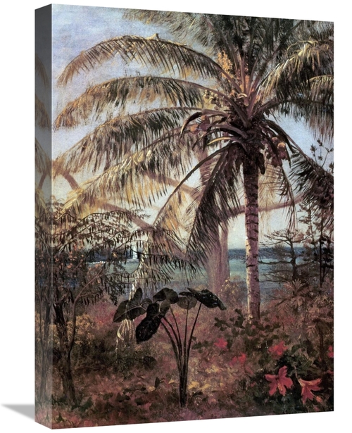Global Gallery GCS-267724-22-142 22 in. Palm Tree, Nassau Art Prin