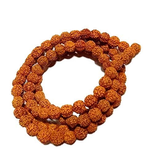 Beads 10mm, 5 Mukhi Rudraksha Jaap Mala for Pooja (Astrology) (108+1