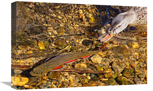 22 in. The Chase Art Print - Vic Schendel