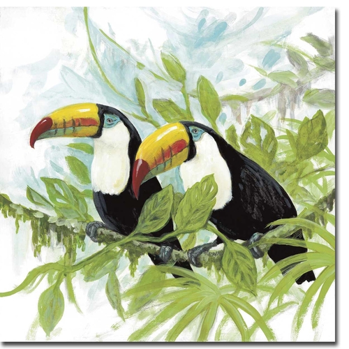 Artistic Home Gallery 3030K5704CG Toucans by Arnie Fisk Premium Galler