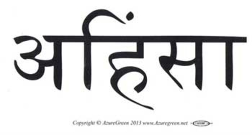 Ahimsa bumper sticker