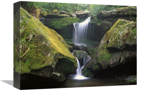 Global Gallery GCS-452031-1216-142 12 x 16 in. Cascade Near Grotto Fal