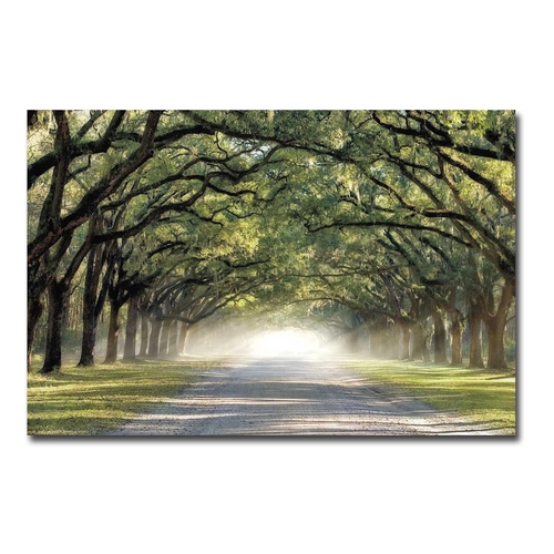 Artistic Home Gallery 1624Q798CG Hope & Glory by Mike Jones Premium Ga