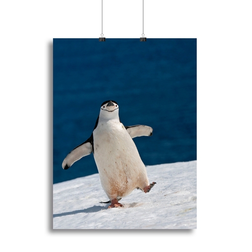 Life is good Canvas Print or Poster