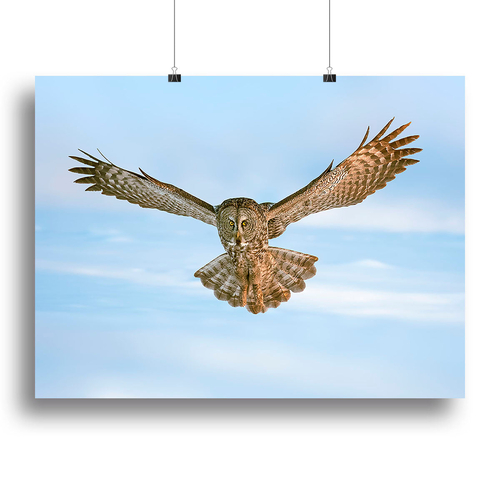 An Owl Flying Canvas Print or Poster