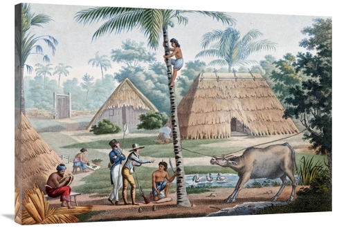 Global Gallery GCS-266167-40-142 40 in. Timor Island, Indonesia Ar