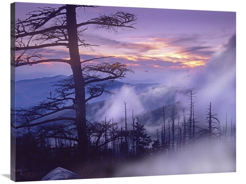 Global Gallery GCS-396954-3040-142 30 x 40 in. Rolling Fog on Clingman