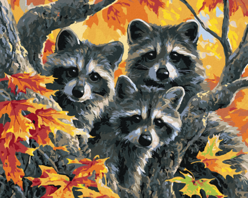 Paint by Numbers - THREE RACCOONS IN AUTUMN (ABRAHAM HUNTER)