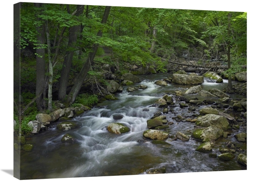 Global Gallery GCS-396787-2432-142 24 x 32 in. Little Stony Creek Flow